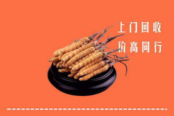 高价求购：沽源县回收散虫草
